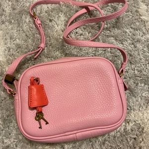 J Crew crossbody purse
